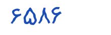security code