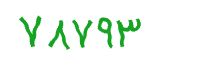 security code