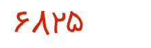 security code