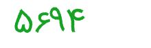 security code