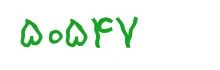 security code