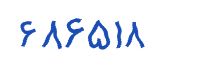 security code