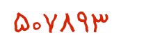 security code
