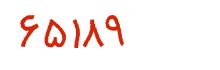security code