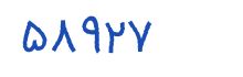 security code