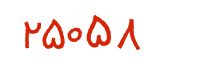 security code