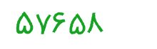 security code