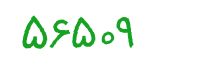 security code