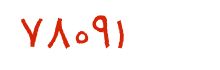 security code