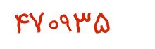 security code