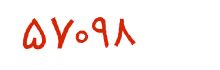 security code