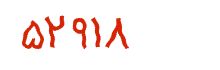 security code