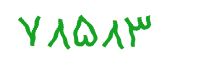 security code