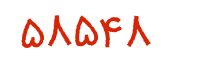 security code