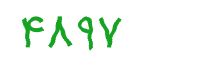 security code