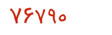 security code