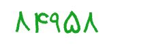security code