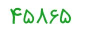 security code