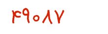 security code