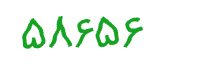 security code
