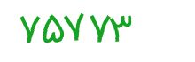security code
