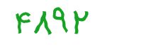 security code