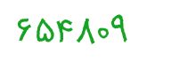 security code