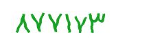 security code