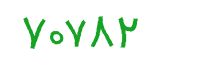 security code