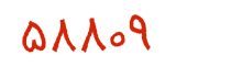 security code