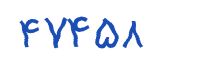security code