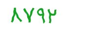 security code