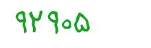 security code