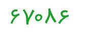 security code