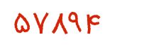 security code