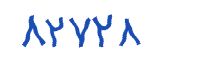 security code
