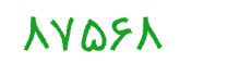 security code