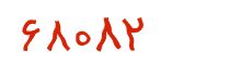security code