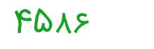 security code