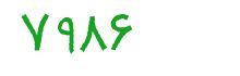 security code