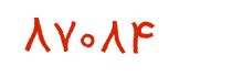 security code