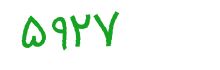 security code