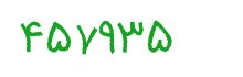 security code