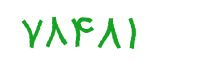security code