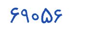 security code