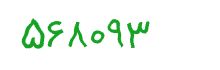security code