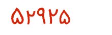 security code