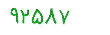 security code