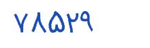 security code