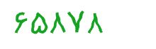 security code